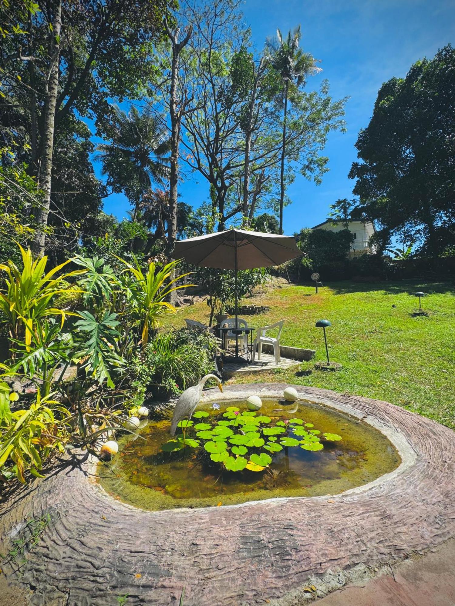Mahaweli View Bungalow Kandy Dış mekan fotoğraf