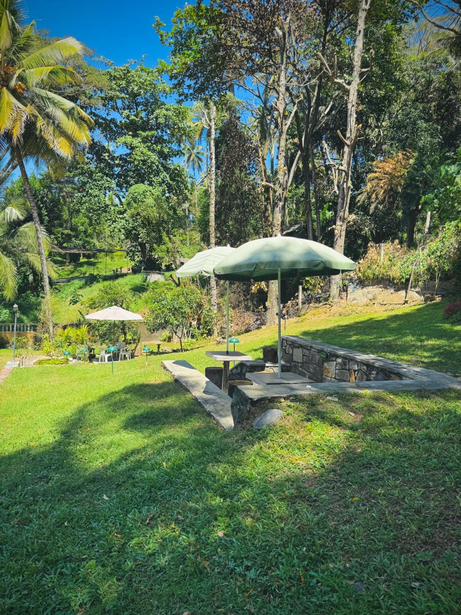 Mahaweli View Bungalow Kandy Dış mekan fotoğraf