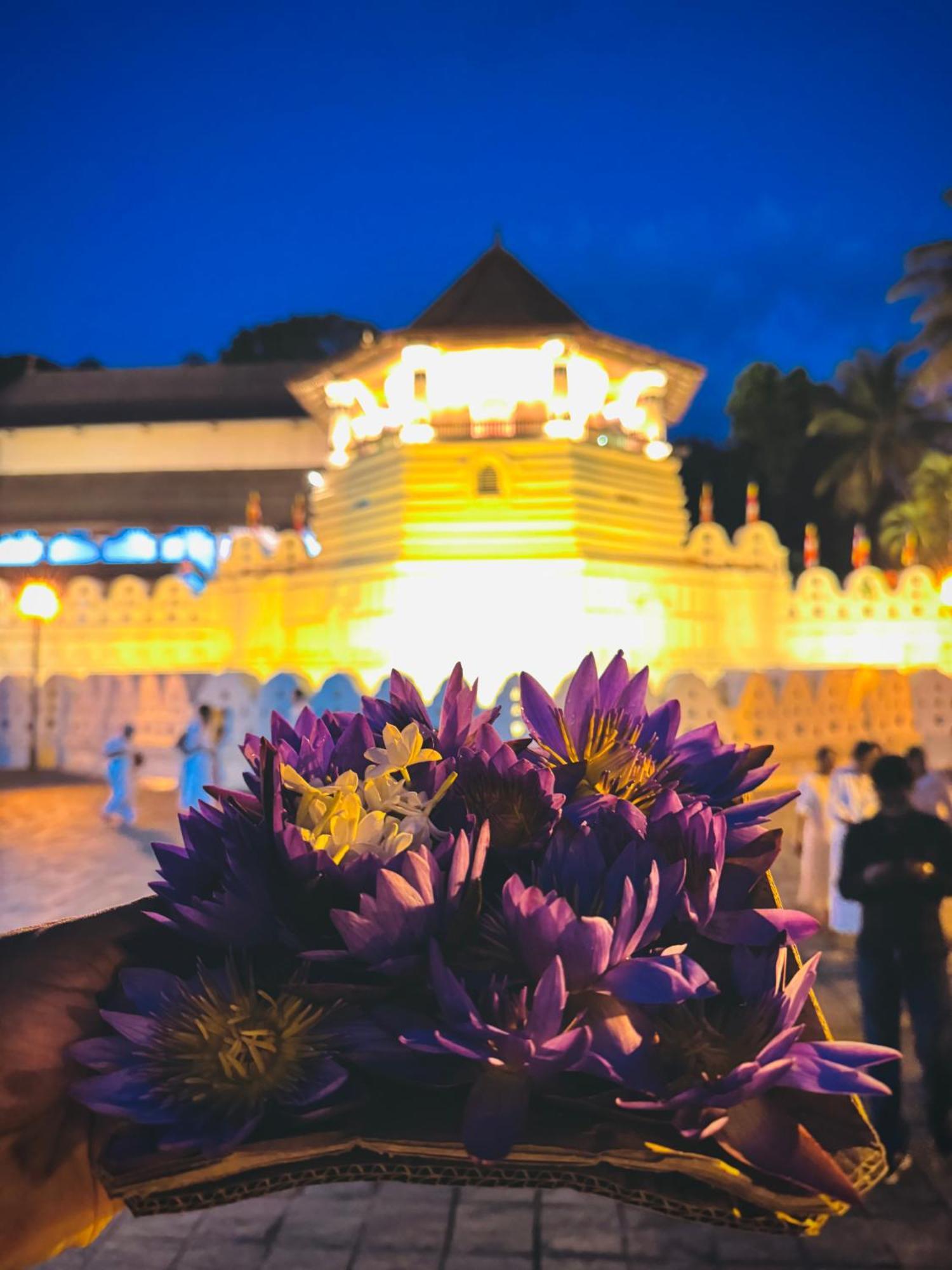 Mahaweli View Bungalow Kandy Dış mekan fotoğraf